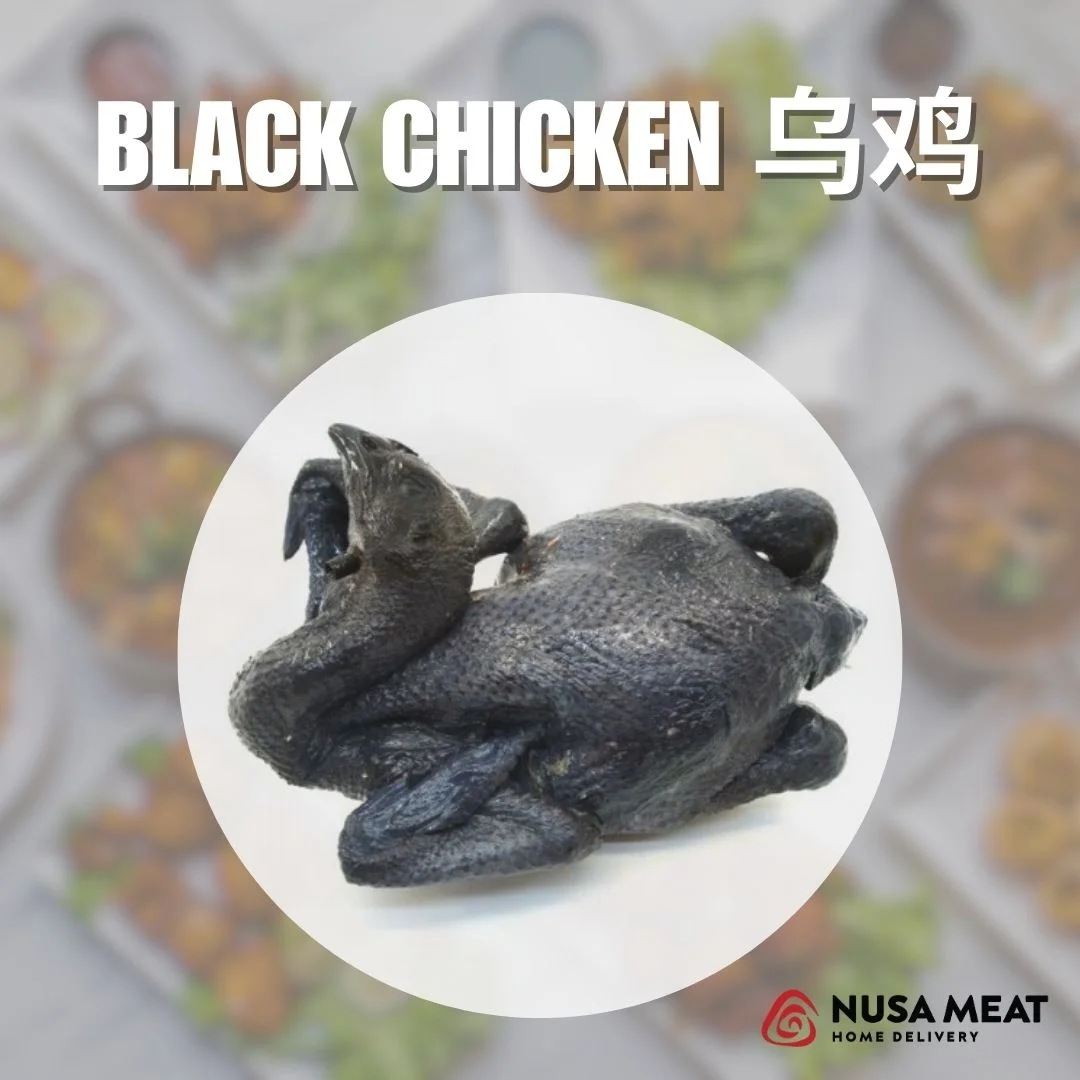 BLACK CHICKEN 乌鸡