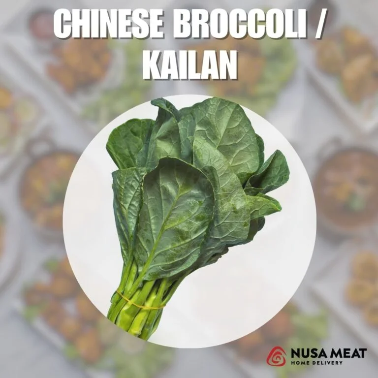 Chinese Broccoli (Kailan) / 2 BUNCH 芥兰