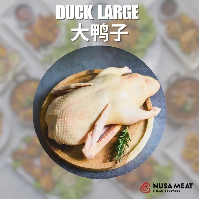 DUCK LARGE 大鸭子